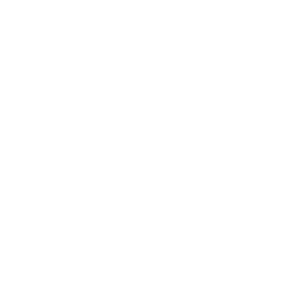 Grupo Flores de Aço Mulheres Empreendedoras
