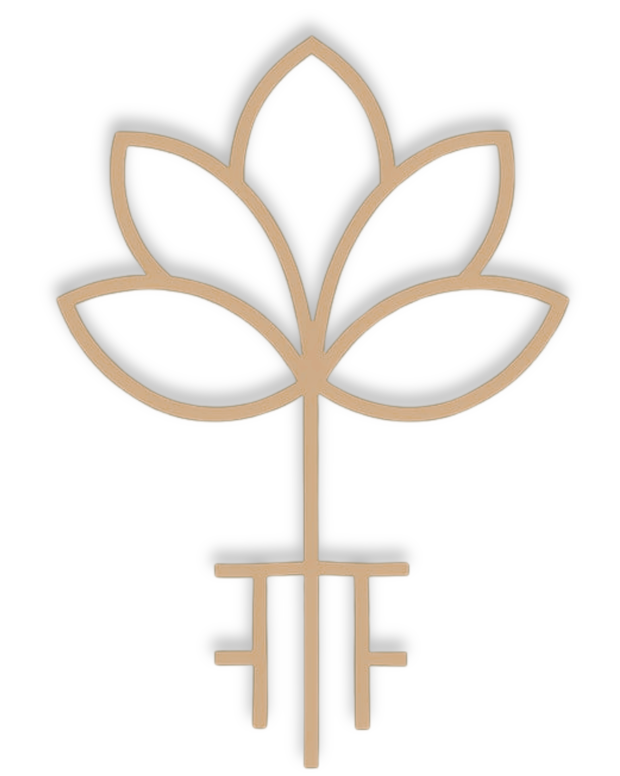 Logo Instituto Flores de Aço
